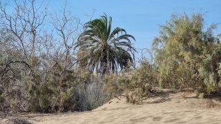 2023-GC-Dunas_Maspalomas-164.jpg